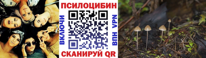 Галлюциногенные грибы мицелий  OMG ссылки  Ясногорск 